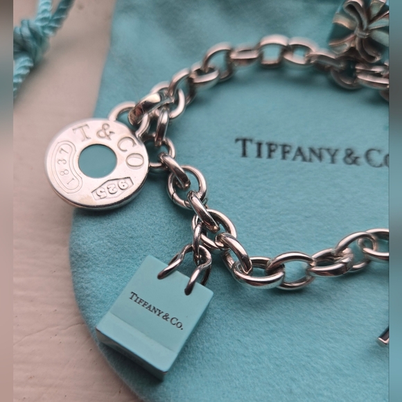 Tiffany & Co. Tiffany & Co. Oval Clasping Multi Enamel Charm Bracelet High Heel - Picture 5 of 11